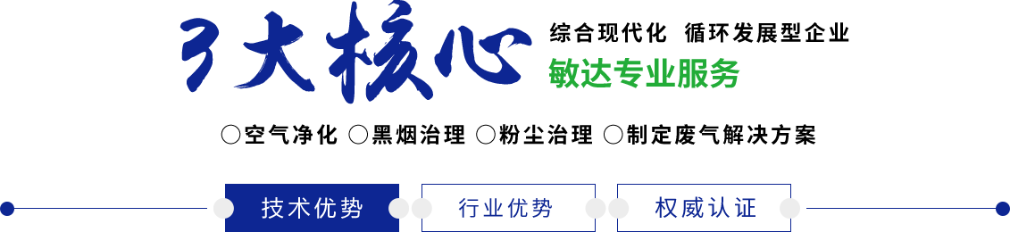 大鸡巴操日本敏达环保科技（嘉兴）有限公司